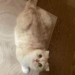 Lee Ruby Instagram - 안뇽 내 이름은 두부야