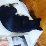 Lee Sang-hee Instagram - 감사한 일에 온전한 감사함을 느낄수 있는 마음을 주소서. 🙏 캐롤라인 냅의 드링킹. 캐롤라인의 대담한 솔직함에, 변화하려는 의지에, 그녀의 생에, 박수를 보냅니다.