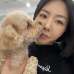 Lee Sang-hwa Instagram - 리아야 여기 좀 보렴🐶📸 르뻬떼 강아지유산균이 곧 출시됩니다! 르뻬떼 매장에서 만나요😝😊 #우리멍멍이건강챙겨 #르뻬떼지킴이리아