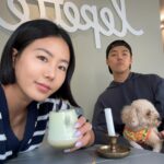 Lee Sang-hwa Instagram - 우리들의 공간 우리의 르뻬떼 ☕️🐶🖤 카페 르뻬떼 입니다아😊😊 우리 르뻬떼는 모든 반려동물 친구들을 환영합니다👏 더 다양한 이야기는 차근차근 @lepette_g 와 @lepette_official 를 통해서 전달드릴게요! 르뻬떼에서 만나효😊 #르뻬떼 #망원한강공원길 #망원로33-1 #동네친구강나미