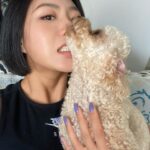 Lee Sang-hwa Instagram – 여름 태닝🌞🌞🌴 그리고 강북리아!!!🐶🐶🐶❤️
