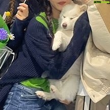 Lee Se-hee Instagram - 세진언니 덕분에 자영이랑 제니랑 넘 행복한 하루였다 🧚♂️ 비번도 알았으니 앞으로 지나갈때마다 밥 좀 얻어먹.... ㅎ 언닌 요리까지잘해 완벽해👍 자영이가 준 꽃 이런 색감의 꽃 선물은 처음 받아본다 역시 힙한 여자..🫶 자영이가 만든 케이스랑 그립톡도 완전 상큼이 폭발해버렸다 ✨✨🧚♂️🫶고마워어엉 ❤️