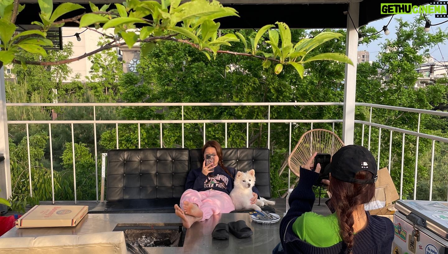 Lee Se-hee Instagram - 세진언니 덕분에 자영이랑 제니랑 넘 행복한 하루였다 🧚♂️ 비번도 알았으니 앞으로 지나갈때마다 밥 좀 얻어먹.... ㅎ 언닌 요리까지잘해 완벽해👍 자영이가 준 꽃 이런 색감의 꽃 선물은 처음 받아본다 역시 힙한 여자..🫶 자영이가 만든 케이스랑 그립톡도 완전 상큼이 폭발해버렸다 ✨✨🧚♂️🫶고마워어엉 ❤️