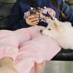 Lee Se-hee Instagram - 세진언니 덕분에 자영이랑 제니랑 넘 행복한 하루였다 🧚‍♂️ 비번도 알았으니 앞으로 지나갈때마다 밥 좀 얻어먹.... ㅎ 언닌 요리까지잘해 완벽해👍 자영이가 준 꽃 이런 색감의 꽃 선물은 처음 받아본다 역시 힙한 여자..🫶 자영이가 만든 케이스랑 그립톡도 완전 상큼이 폭발해버렸다 ✨✨🧚‍♂️🫶고마워어엉 ❤️