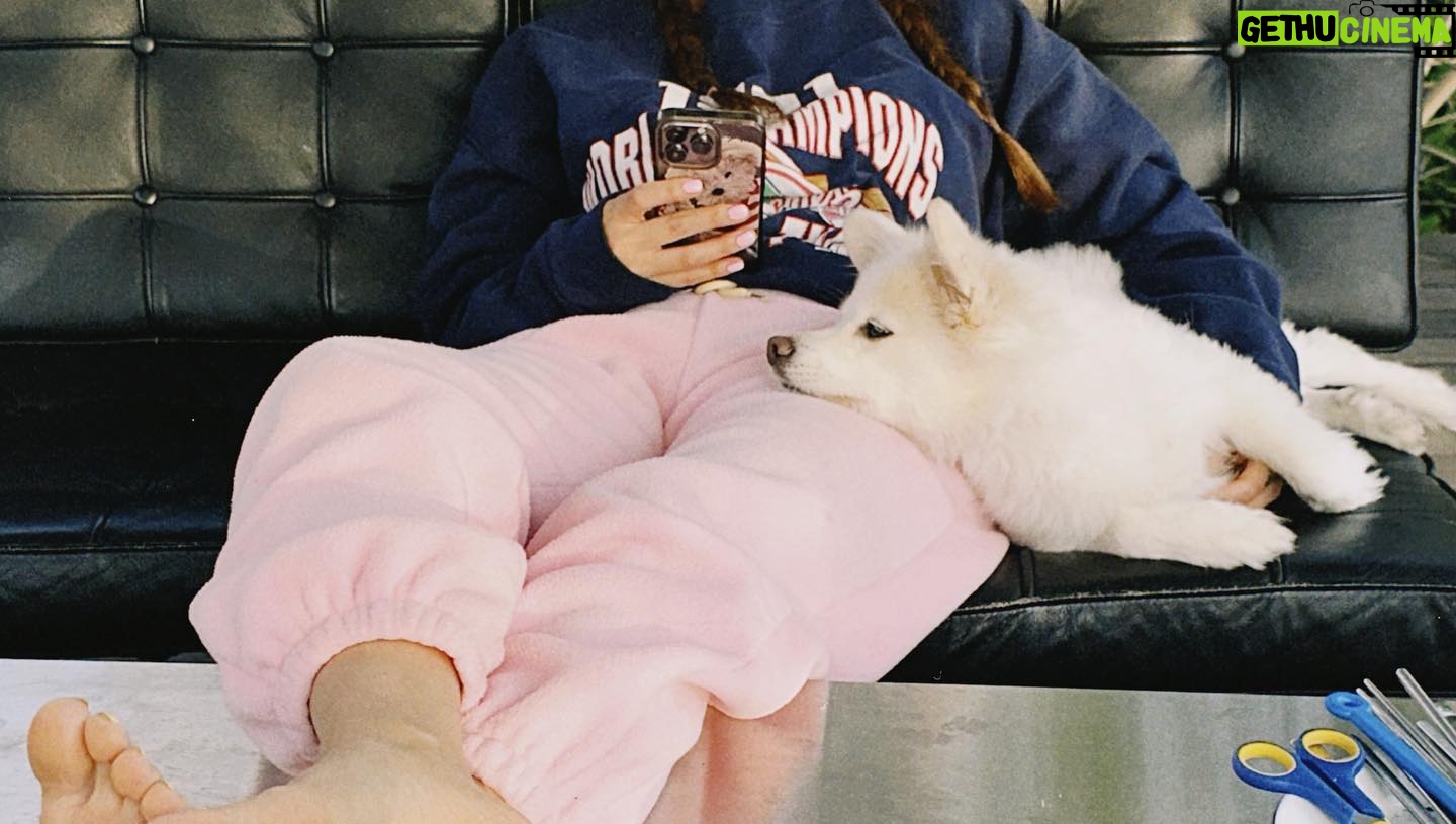 Lee Se-hee Instagram - 세진언니 덕분에 자영이랑 제니랑 넘 행복한 하루였다 🧚♂️ 비번도 알았으니 앞으로 지나갈때마다 밥 좀 얻어먹.... ㅎ 언닌 요리까지잘해 완벽해👍 자영이가 준 꽃 이런 색감의 꽃 선물은 처음 받아본다 역시 힙한 여자..🫶 자영이가 만든 케이스랑 그립톡도 완전 상큼이 폭발해버렸다 ✨✨🧚♂️🫶고마워어엉 ❤️