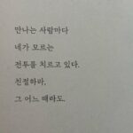 Lee Se-hee Instagram - 다정하게, 다정하게 다가가야 한다는 것입니다.