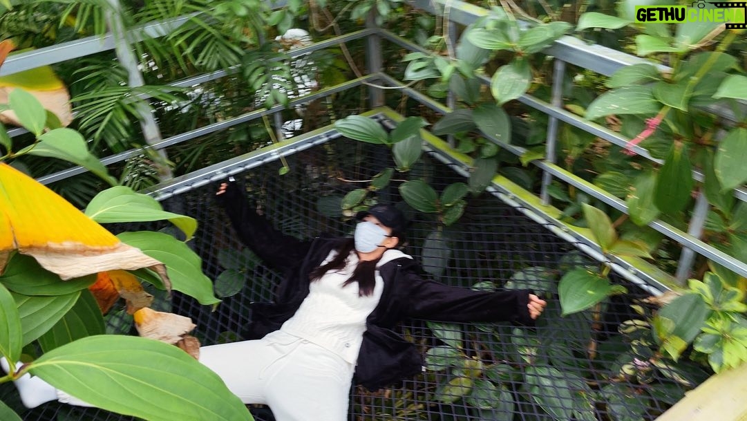 Lee Se-hee Instagram - 진아언니랑 급 만남 🌱🌵🌿 아는 것도 많고 안목도 뛰어나서 예쁜거만 쏙쏙 잘 골라주심✨🙊 취향저격 티세트 선물까지 🥹🫶 예나 지금이나 늘 멋진언니