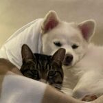Lee Se-hee Instagram - 요즘 나만 빼고 둘이서만 잔다(울컥 원래 럭키는 항상 나 잘때 침대에서 같이 잤는데 섭섭해.... 너네 이제 간식없어...