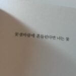 Lee Se-hee Instagram - 류 시화