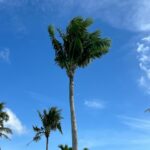 Lee Si-won Instagram - 🇬🇺🌴☀️