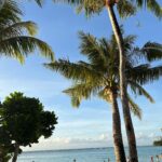 Lee Si-won Instagram - 🇬🇺🌴☀️