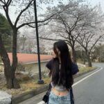 Lee Soo-min Instagram - 봄 가기 전에 벚꽃 사진...🌸