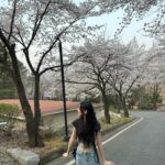 Lee Soo-min Instagram - 봄 가기 전에 벚꽃 사진...🌸