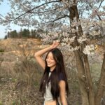 Lee Soo-min Instagram - 봄 가기 전에 벚꽃 사진...🌸