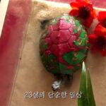 Lee Soo-min Instagram - 이제 곧 스물셋 아니게 되는 사람의 마지막 기록...