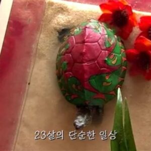 Lee Soo-min Instagram - 이제 곧 스물셋 아니게 되는 사람의 마지막 기록...