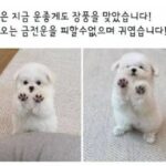 Lee Soo-min Instagram –