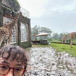 Lee Won-ji Instagram - 뒤늦은 기린 호텔사진🦒🏠🦒 어쩌다 허니문 명소ㅋㅋㅋㅋㅋㅋㅋ잼나는거 온 구석구석 쥬롸푸 디테일이 진짜 도라방스 사장님 디테일에 미친 사람이 분명함 @glory_yongmyoung 너무너무 재미있었어요 감사합니다🙆🏻‍♀️🙆🏻‍♀️🦒🦒🦒🦒🦒🦒 #지구마불세계여행2