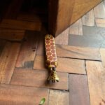 Lee Won-ji Instagram - 뒤늦은 기린 호텔사진🦒🏠🦒 어쩌다 허니문 명소ㅋㅋㅋㅋㅋㅋㅋ잼나는거 온 구석구석 쥬롸푸 디테일이 진짜 도라방스 사장님 디테일에 미친 사람이 분명함 @glory_yongmyoung 너무너무 재미있었어요 감사합니다🙆🏻‍♀️🙆🏻‍♀️🦒🦒🦒🦒🦒🦒 #지구마불세계여행2