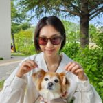 Lee Yeon-hee Instagram - 10장 이것저것 채워서 꺼내봤어😉 #지난추억소환 마지막킬포❣️🐶