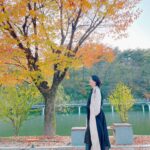 Lee Young-ae Instagram – 마에스트라 촬영중~ 가을만끽 소확행❤️

#마에스트라 #소확행