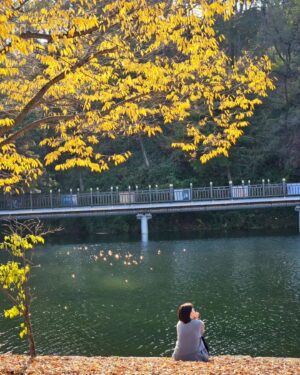 Lee Young-ae Instagram - 마에스트라 촬영중~ 가을만끽 소확행❤️

#마에스트라 #소확행