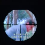 Lee Yul-eum Instagram -