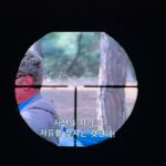 Lee Yul-eum Instagram -