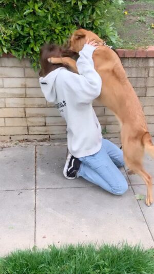 Leila George Instagram - Best birthday present 🐕