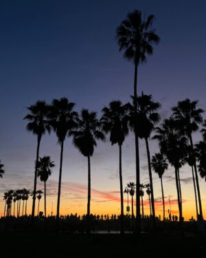 Lena Meckel Instagram - Spazieren gehen am Venice Beach bei Sonnenuntergang 🌅 check ✔️