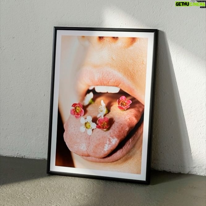 Lena Klenke Instagram - PRINTS FOR PEACE - Flower Bomb Aufgewachsen in völliger Behütung, waren Kriege präsent durch Geschichtsbücher und Nachrichten. Auch in kürzerer Vergangenheit, aber nie so greifbar und nah wie aktuell. Und auf einmal war da die völlige Überforderung. Man möchte verstehen, helfen und schämt sich dafür, dass es einem so gut geht. Die Hilfsbereitschaft ist groß: Der eine versammelt sich bei Demonstrationen, der nächste sortiert Sachen aus oder spendet im Stillen. Auch Kunst und Kultur sind Helfer in solchen Zeiten – ein paar Zeilen lesen, jemandem zuhören, Musik, Theater, Bilder. Ich entdeckte verschiedenste Aktionen, wo Künstler*innen ihre Werke als Drucke verkauften und den Erlös teilweise oder ganz spendeten. Dies setzte den Impuls für ein gemeinsames Projekt mit der Fotografin @studionedarajabi In ihrem Studio nahm sie letztes Jahr ein Bild von mir auf: Kleine, zarte, helle Blüten auf einer rauen Zunge. Absurd schön und aufmunternd. Bitter-süß. Dieses Motiv “Flowerbomb” haben wir als Print ausgewählt. 100% der Einnahmen unserer Aktion, werden an drei Organisationen (@doarte_stiftung , @hawar.help , @visionsforchildren ) gespendet, die sich tagtäglich für Frauen-, Kinder- und Menschenrechte einsetzen. So wollen wir nicht nur Geflüchteten aus der Ukraine, sondern aus verschiedenen Teilen der Welt beistehen. Wir freuen uns über jeden Einzelnen, der hier unterstützt. May Peace and Unity win. ✌🏼🌻 Link in bio to buy :)