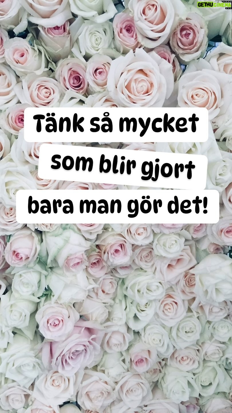 Lena Philipsson Instagram - Lenas högt aktade visdomsord!