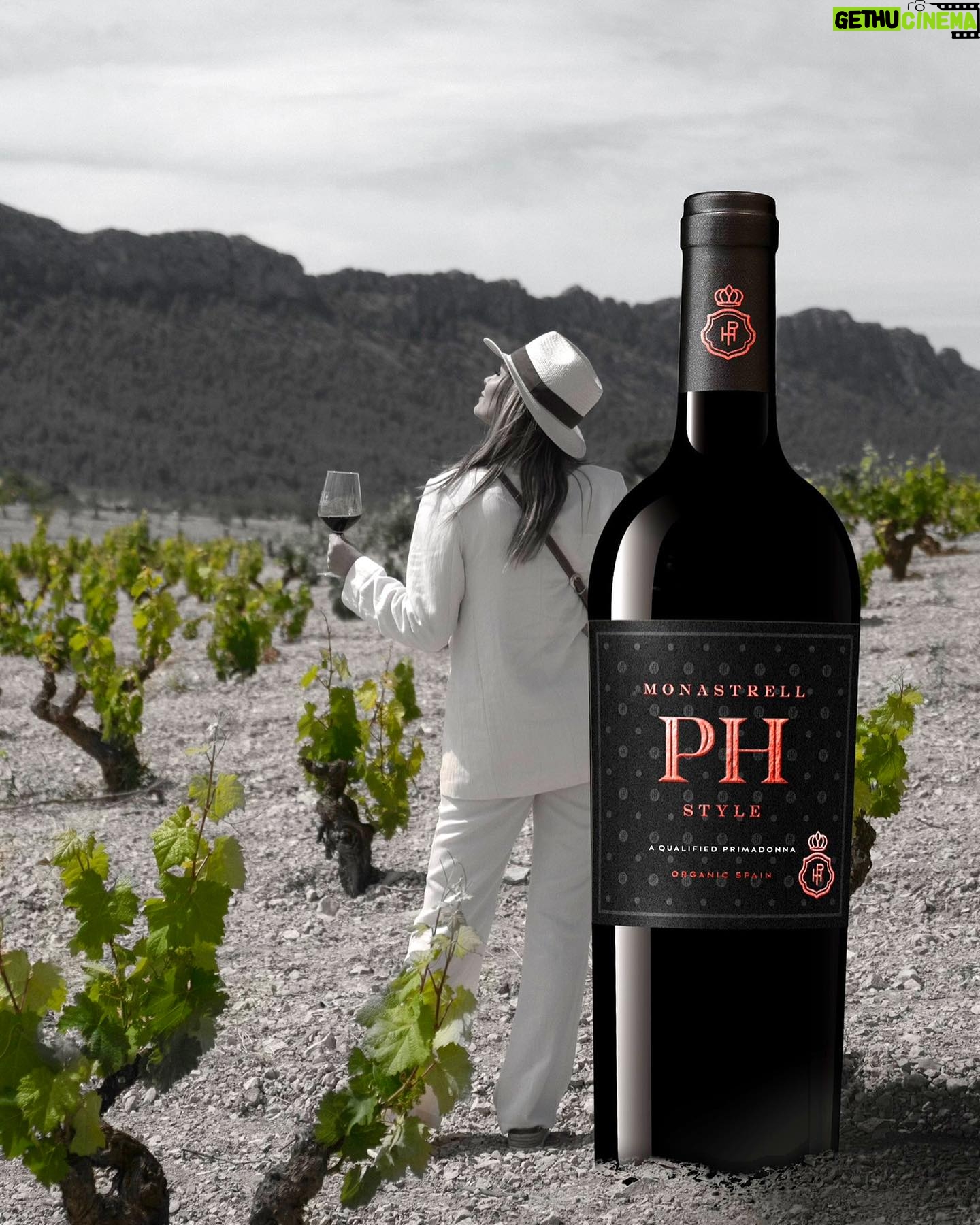 Lena Philipsson Instagram - PH Style Monastrell i samarbete med @wine.affair. Har du testat mitt rödvin från Juan Gil? Det passar bra att serveras som sällskapsvin, eller till buffémat, grillat, tapas, eller kanske till en mustig gryta. Ett smakrikt vin med inslag av skogshallon, mörka körsbär och björnbär. Vill du testa? Gå i så fall in på Systembolaget på nätet eller i just din butik och beställ hem vinet. Artikelnummer 5553601 PH Style Monastrell Pris: 99 kr | nr 5553601| 750 ml | Alk. 14 % Producent: Bodegas Juan Gil