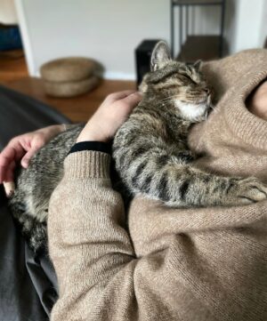 Lena Philipsson Instagram - Det är ju mysigt ändå med katt..