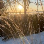 Lena Philipsson Instagram – I Luleå igår kväll sjöng jag ”I DECEMBER” live för första gången, det var spännande och lite nervöst.