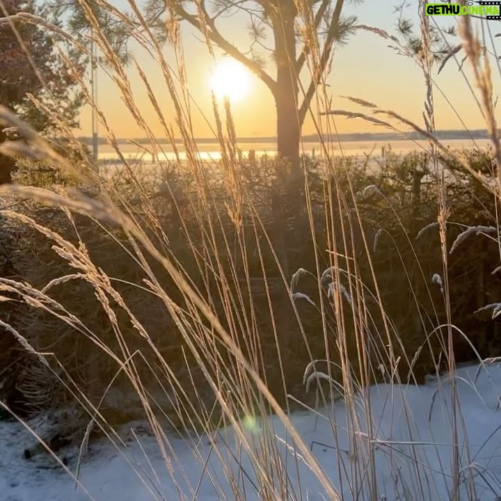 Lena Philipsson Instagram - I Luleå igår kväll sjöng jag ”I DECEMBER” live för första gången, det var spännande och lite nervöst.