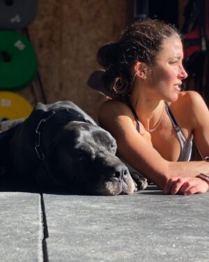 Leo Margets Instagram - The king of my castle 👑🏰
.
#gus #melocomo #greatdane #grandanes #bestdog #milittlepony