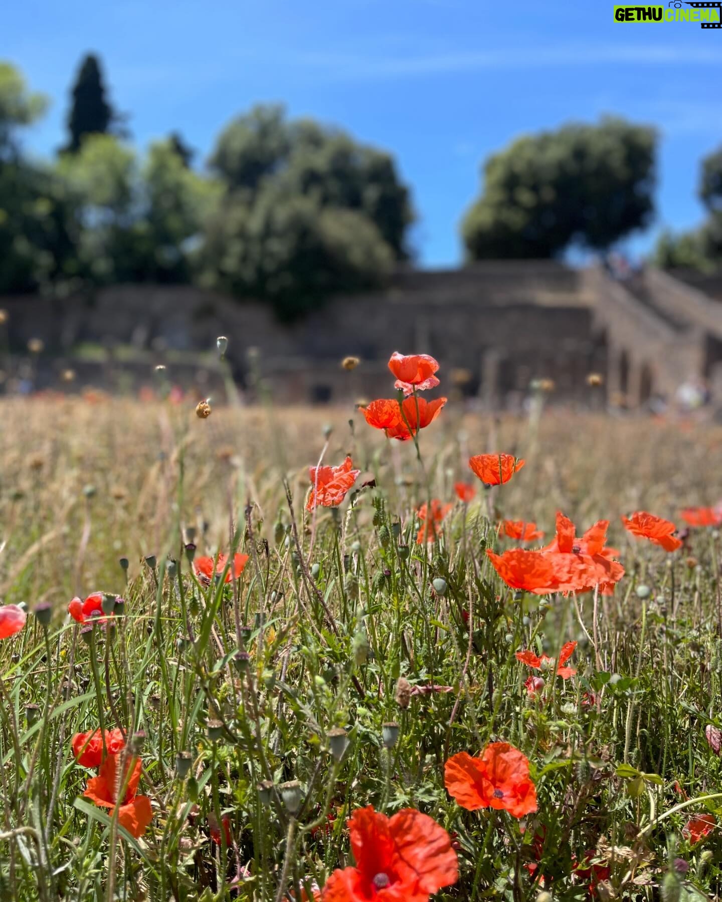 Leonor Seixas Instagram - Emocionada. Concretizei mais um sonho. Finalmente conheci Pompeia, que na verdade se diz Pompeios. É tão mais magnífica do que imaginei!!! Esta cidade romana ficou conhecida por ter sido o palco de uma enorme erupção vulcânica do Monte Vesúvio, que destruiu tudo. Foi em 79dc.