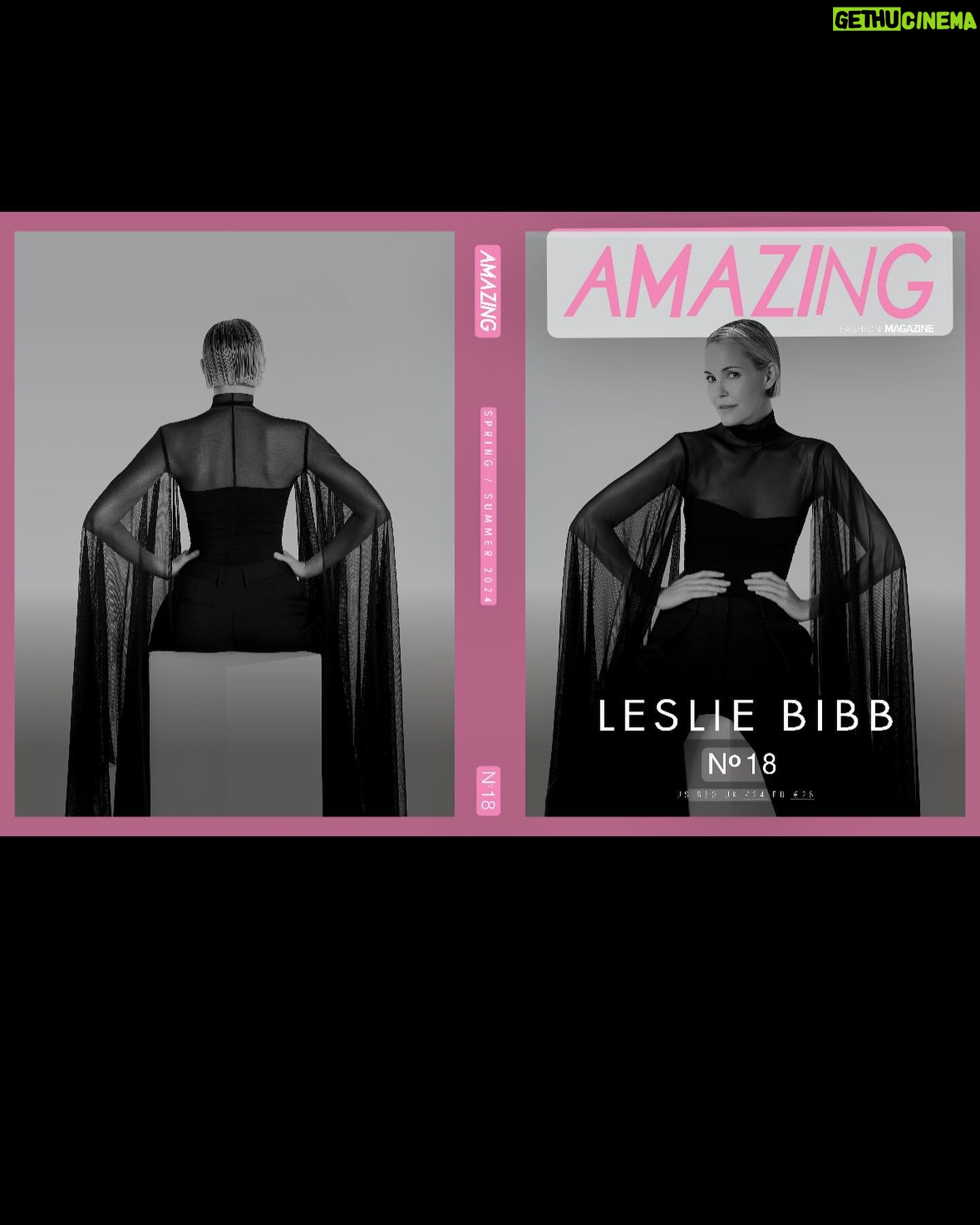 Leslie Bibb Instagram - cinched... little preview of my @theamazingmagazine cover shoot... what a good day making some art with an incredible team for lucky number 18 edition... can't wait for y'all to see what we did...π€π€ #fyc @palmroyaletv @appletv #dinahdonahue words: @the_zenjendaya photo: @richardmachadophotography video: @leiphillips stylist: | EIC @donaldlawrence8 art director: @sabreenahrochelle hair: @barbdoeshair makeup: @brittsully digital tech: @lynxproductionsinc photo assistant: @tatiktate studio: @visionstudiola