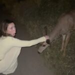 Leslie Golden Instagram - It’s the f$*k!n CATALINA WINE MIXERRRR✨ Words can’t describe how much appreciation and gratitude I feel for this man who made all of my birthday dreams come true, even down to him paying a private deer handler to place these friendly deer on the side of the road so I could feel like a Disney princess (joking lol) But seriously, from every family member calling me and yelling “it’s the fkn Catalina wine mixer” in my ear bc Step Brothers is an American classic in our eyes, to the cute little dinner over looking the pier, to surprising me with a trip to the island, tickets to stage coach and a record player the for hundreds of records I have tucked away in storage… it’s not about the things or the place, but the thoughtfulness that went into every detail.. I am so lucky (: