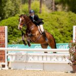 Leslie Grossman Instagram - Go Goldie go! Junior Mint and my best girl back at it on the horse show circuit ❤️🐴