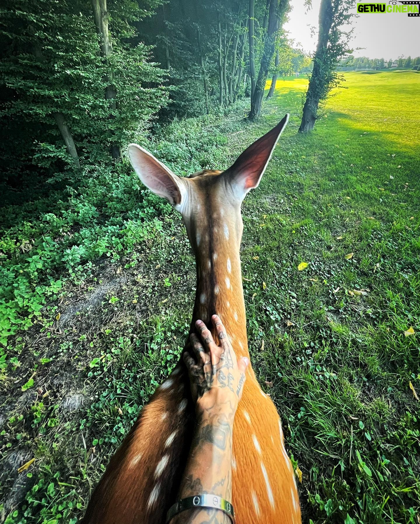 Lesya Fuck - 4.6K Likes - Просто потому, что я тоже животное 🦌
А попу вы эту видели? 😍😅
Вчера, что то волшебное происходило, ну кроме этого гуся на прошлом видео 🤣🤣🤣