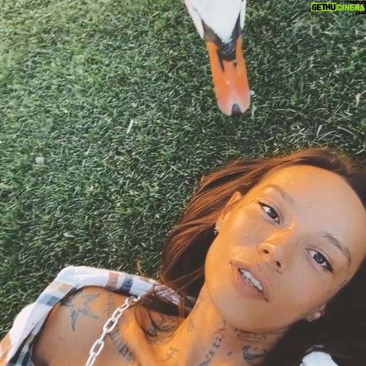 Lesya Fuck - 5.2K Likes - Увидимся в Октагоне сука