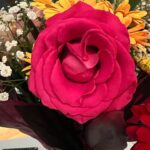 Letícia Lima Instagram - Essenciais para desvendar a construção do que temos hoje por “amor romântico”. -We. A chave da psicologia do amor romântico, do Robert Johnson E - O erotismo seguido de reflexões sobre o problema do amor, da Lou Salomé (aka a filósofa que mais influenciou Nietzche, Rilke e Freud!) . Indicações de mais leituras sobre esse tema? Quero!