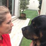 Leticia Calderón Instagram - Empiezas tu, sigue él, se pasa él, lo regañas, le pides perdón, final feliz😀