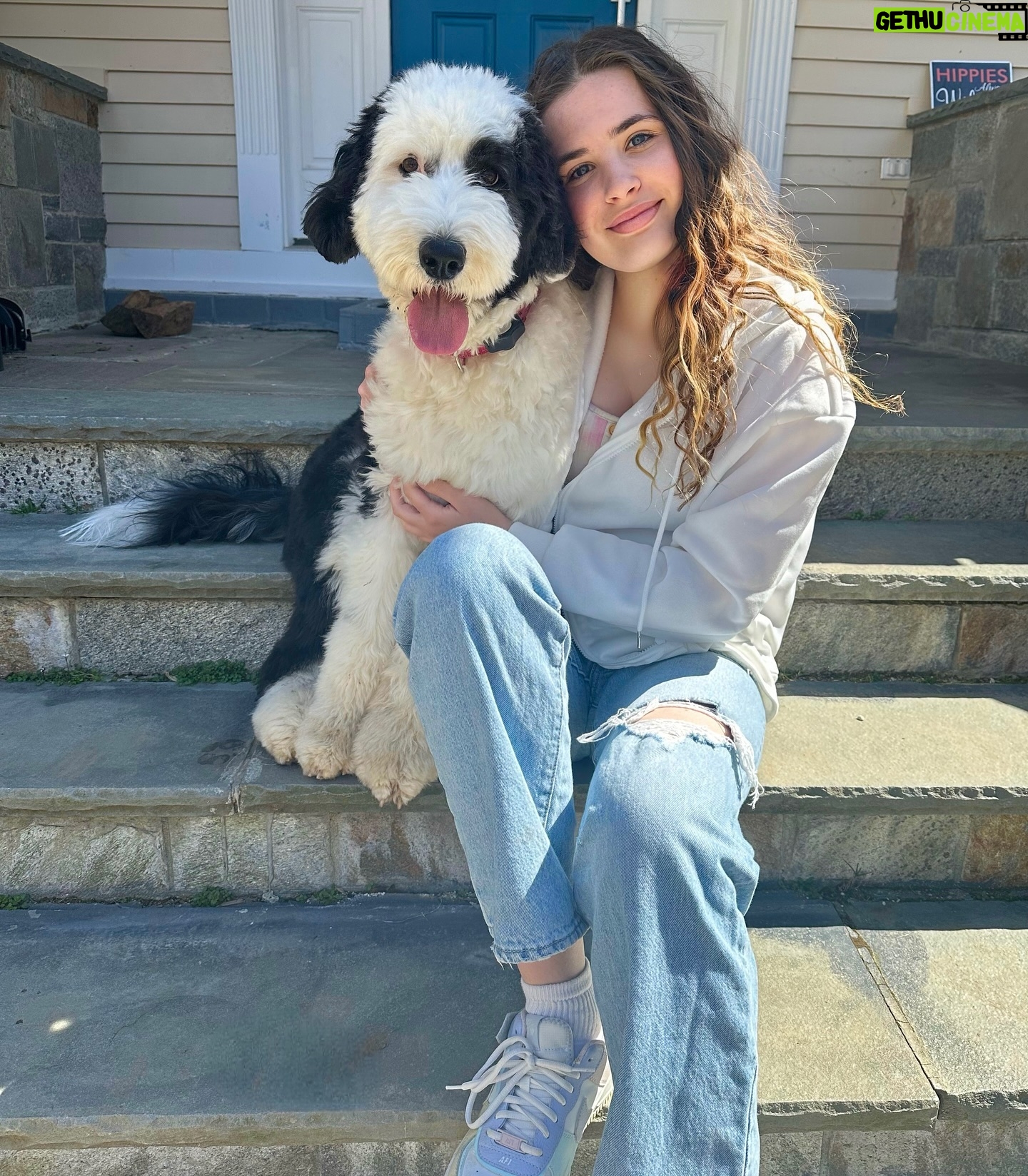 Lexia Hayden Instagram - @brooklyn_thesheepadoodle and I wish you all a very Happy Easter 🐰