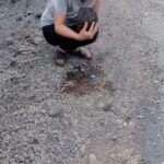 Leyla Bilginel Instagram - Doğa ve hayvanlara olan sevgimin ne tarifi nede ölçü birimi yok! Evladım anam kardeşim neyse o derece derin bir sevgi. Ağaçlara sarılıp dakikalarca gözdelerinden gelen enerjiyi sevgiyi. Hayvanlarla olan ilişkimde aldıkları sevginin karşılığında gözlerinde gördüğüm karşılığı hep gördüm yaşadım! Ama hayatımda ilk kez böyle bir yoksunluk ve avı yaşadım. Ve diliyorum bir daha yaşamam! Yangından kaçan o hayvanların sesleri! Kül olmuş ağaçların sessiz çığlıklarını duydum! Ve yangından kaçan bir kaplumbağanın insanın gözlerinin içine bakıp medet istemesine şahit oldum! Herkes bilir en çekingen hayvanlardandır. Bırakın bir insanın ellerinden tutup gözlerinin içine bakmayı. En ufak bir ses duysa kabuğunun içinden çıkmaz! Bu gördüğünüz kısa bir an ama birde bana gelin sorun beler yaşadım dakikalarca bu güzel canla! Boynunu uzatıp sanki öpmek istedi beni! Elimizden içtiği o suyu görseniz nasıl bir acı korku susuzluk yaşadığını anlarsınız! Ellerimden tutup kabuğundan çıkmak istediğini o kadar net hissettirdi ki bana! O kabuğunun içinde nasıl bir korku yaşadıysa artık siz düşünün! Ve yüzlerce kaplumbağa nefes alamadığı için kabuğunun içinde patlamış bulundu! Ne diyeyim ne söyleyeyim artık söz yorum sizin! 😢😢😢 bizi affeder mi dersiniz bı canlılar!