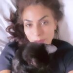 Leyla Bilginel Instagram - Hayvan deyip geçme! Onlar bize emanet canlar bence. Ve onların akanlarını istila ettiğimizi de unutmayalım. Üç yıl öncesine kadar çocukluğundan bu yana kedi fobisi olan ben bu gün marsla karamla aşk meşk ediyoruz. Iy Venüs ve şirayı da unutmayalım! En çok sahnede Mars var çünkü o koynumu kimseye bırakmıyor 😁😁😁. #kedi #kedisevenler #kediaşkı #hayvanseverler #hayvanlaralemi #hayvanlar #hayvansevgisi