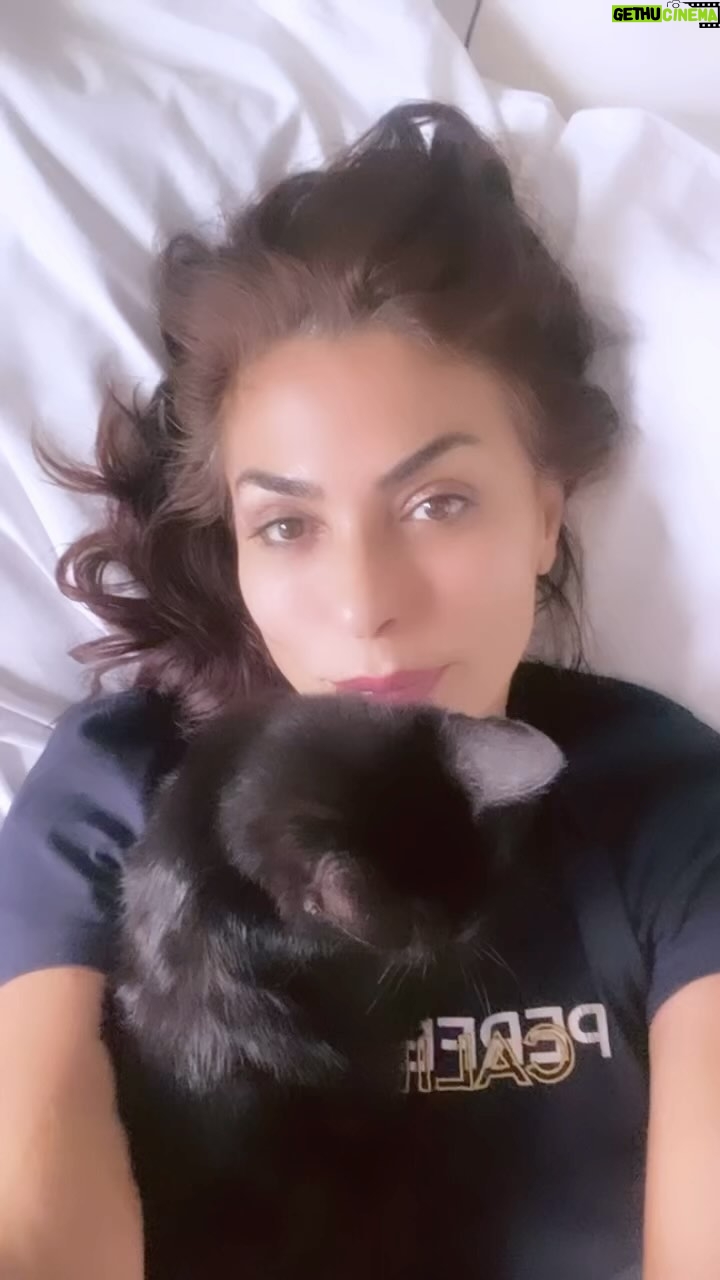Leyla Bilginel Instagram - Hayvan deyip geçme! Onlar bize emanet canlar bence. Ve onların akanlarını istila ettiğimizi de unutmayalım. Üç yıl öncesine kadar çocukluğundan bu yana kedi fobisi olan ben bu gün marsla karamla aşk meşk ediyoruz. Iy Venüs ve şirayı da unutmayalım! En çok sahnede Mars var çünkü o koynumu kimseye bırakmıyor 😁😁😁. #kedi #kedisevenler #kediaşkı #hayvanseverler #hayvanlaralemi #hayvanlar #hayvansevgisi