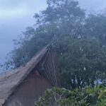 Leyla Bilginel Instagram - Bali’den haberler